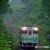 2016.08.29 キハ、秘境を往く