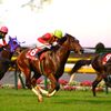 モーリス_京王杯2歳S