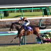 アポロマーベリック_中山大障害