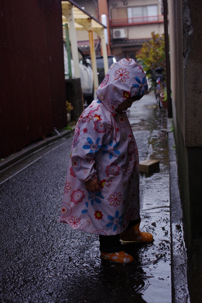 雨の路地裏