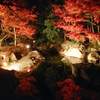 夜紅葉