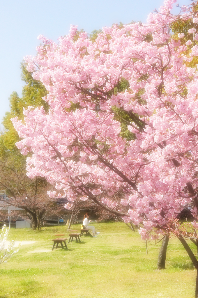 やさしい時間