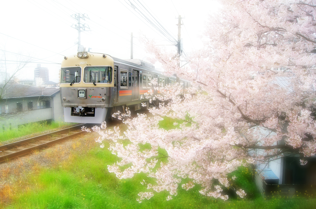 春色の電車に乗って