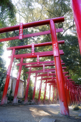 青井阿蘇神社