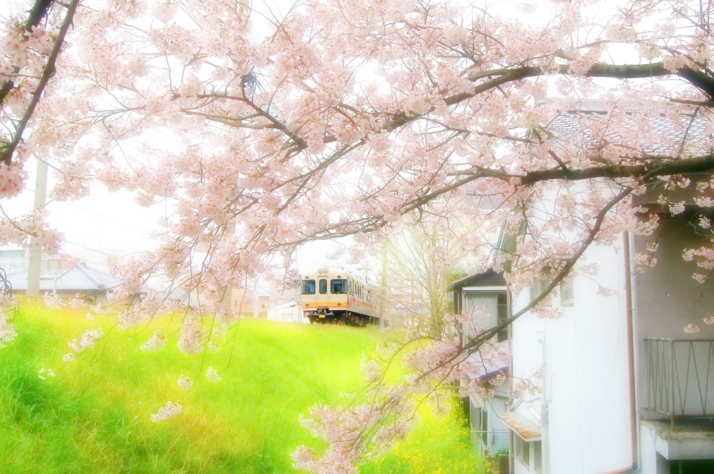ローカル線の旅