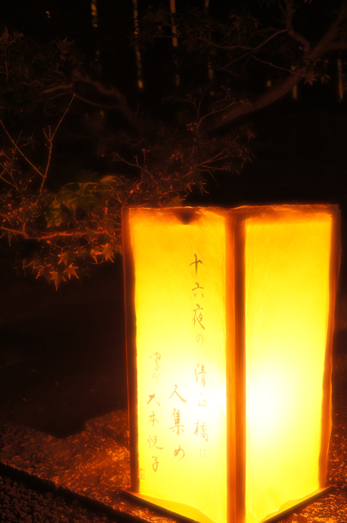 灯篭に照らされて