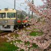 桜と電車