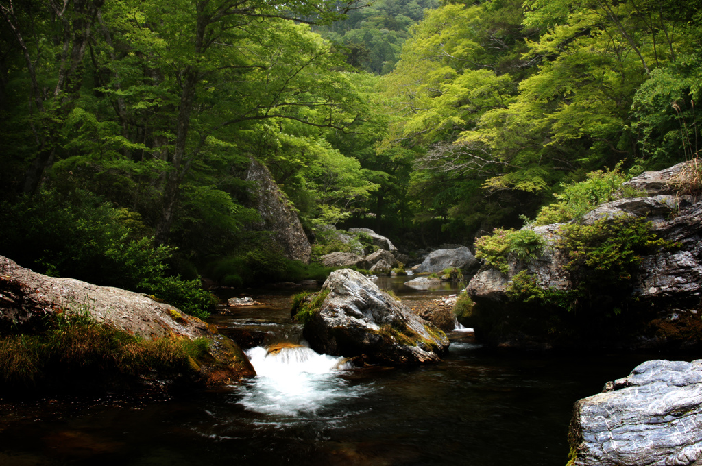 新緑の小田深山