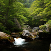 新緑の小田深山