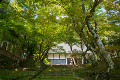 大洞院