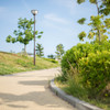 公園の散歩道