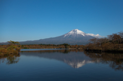 田貫湖からの富士山
