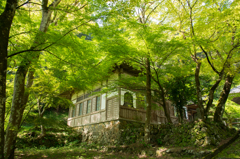 大洞院