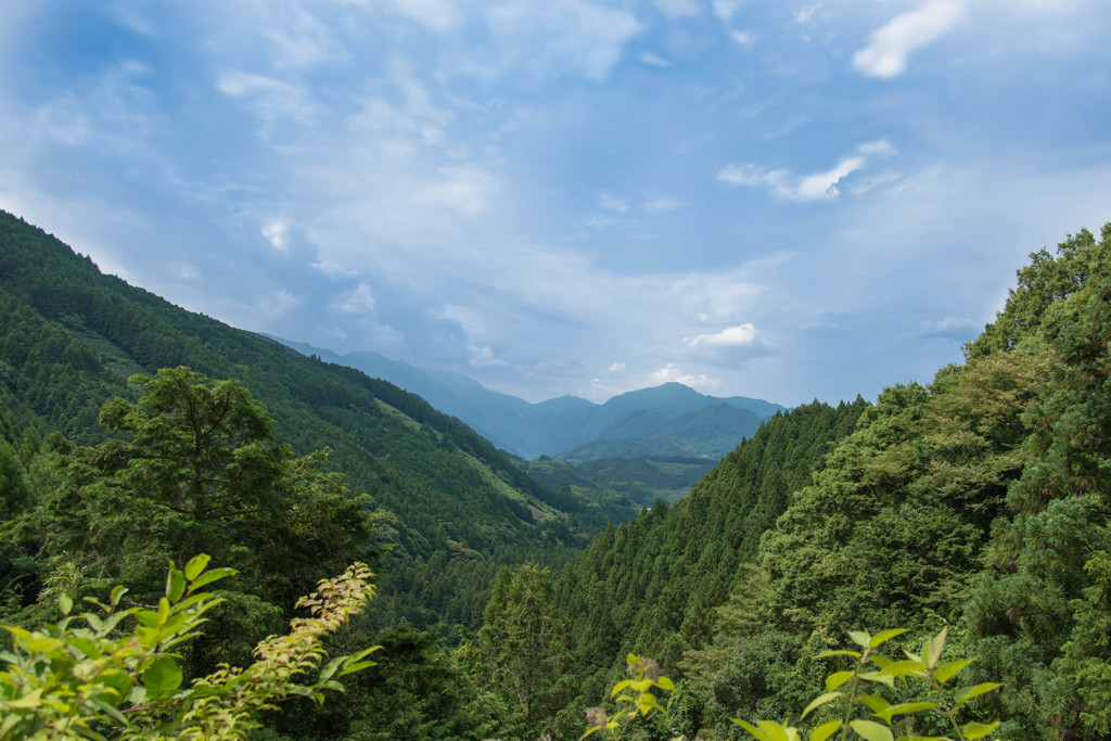 静岡清水高山