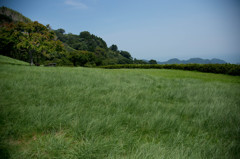 焼津の高草山　笛吹段公園
