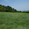焼津の高草山　笛吹段公園