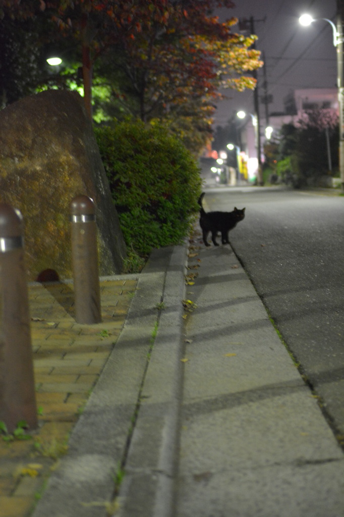 深夜０時、くろねこさん