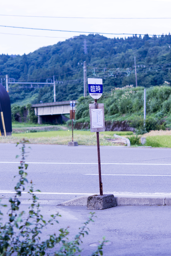 なにも語らず