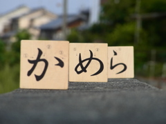 かめら
