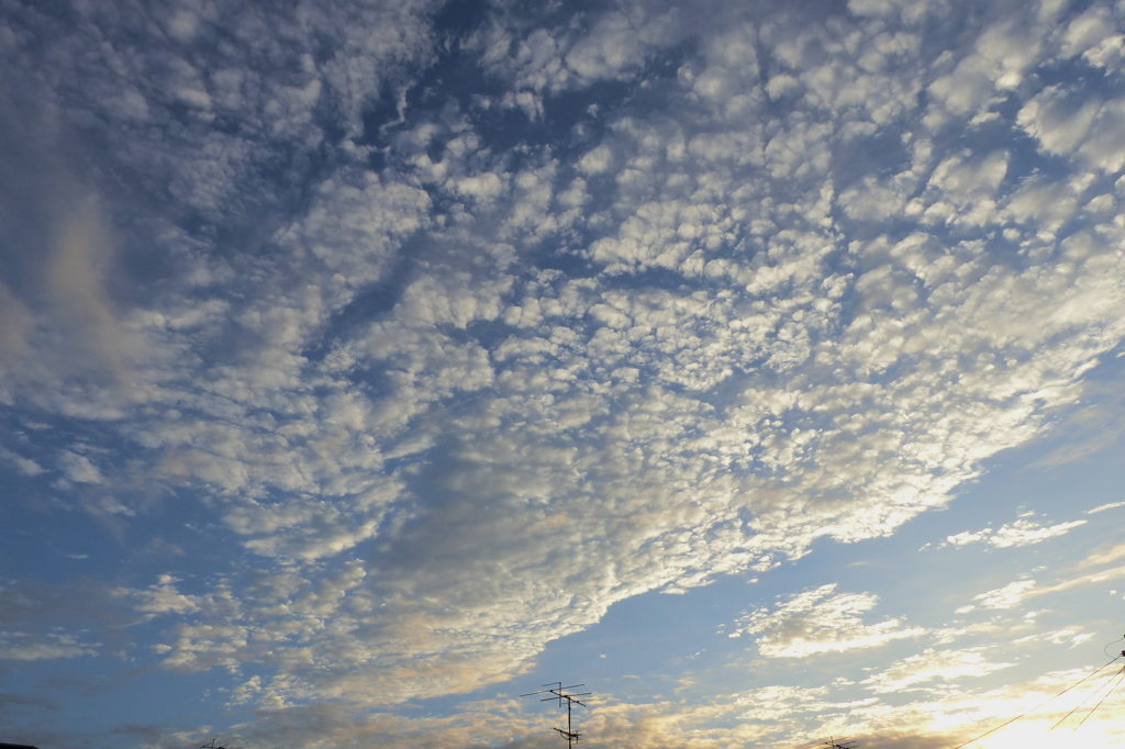 輝く雲