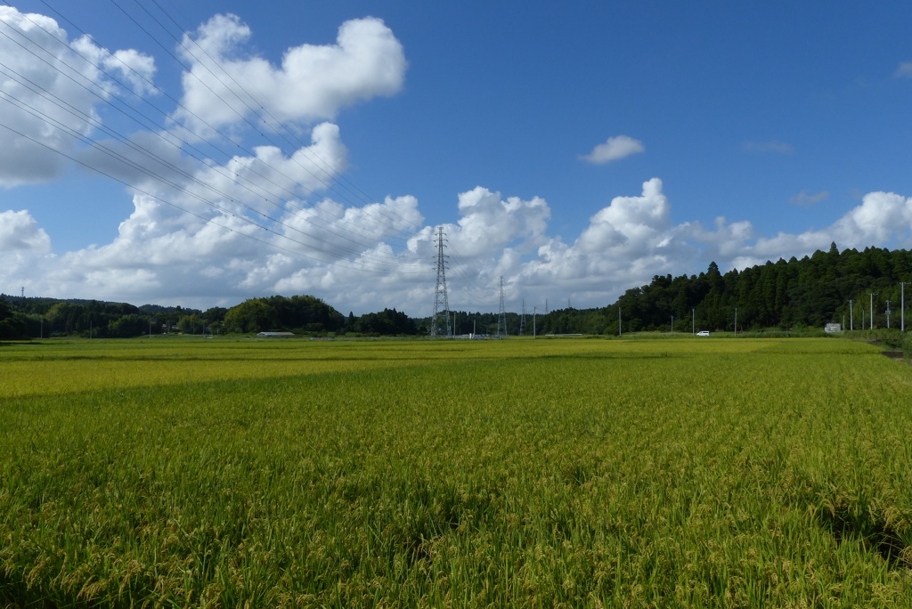 田園風景