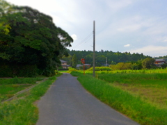 ジオラマ　作例6