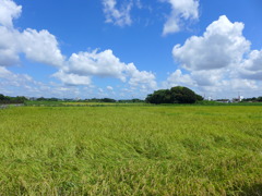 スッキリ夏空　2