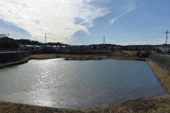 コロニーのある調整池全景