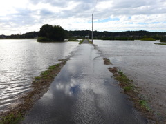 冠水したいつもの農道