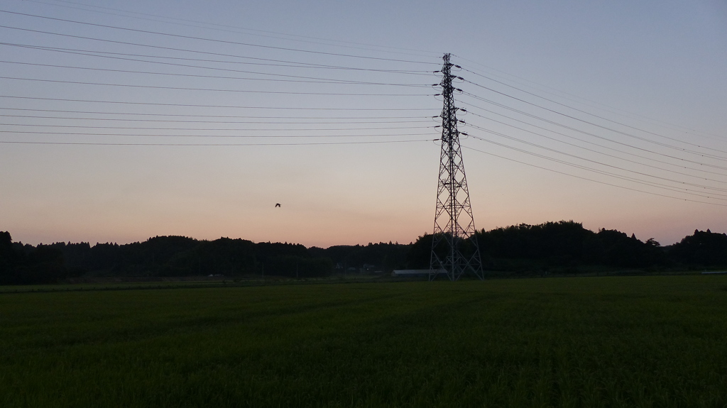夕景