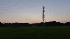 夕景