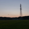 夕景