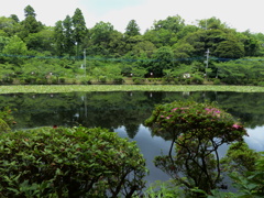 池の中央部