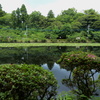 池の中央部