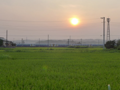 巨大な太陽と電車