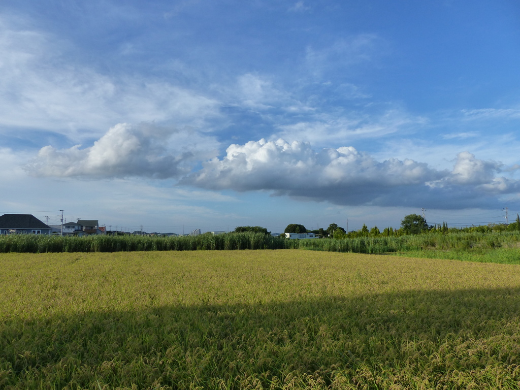 頭上の雲　2