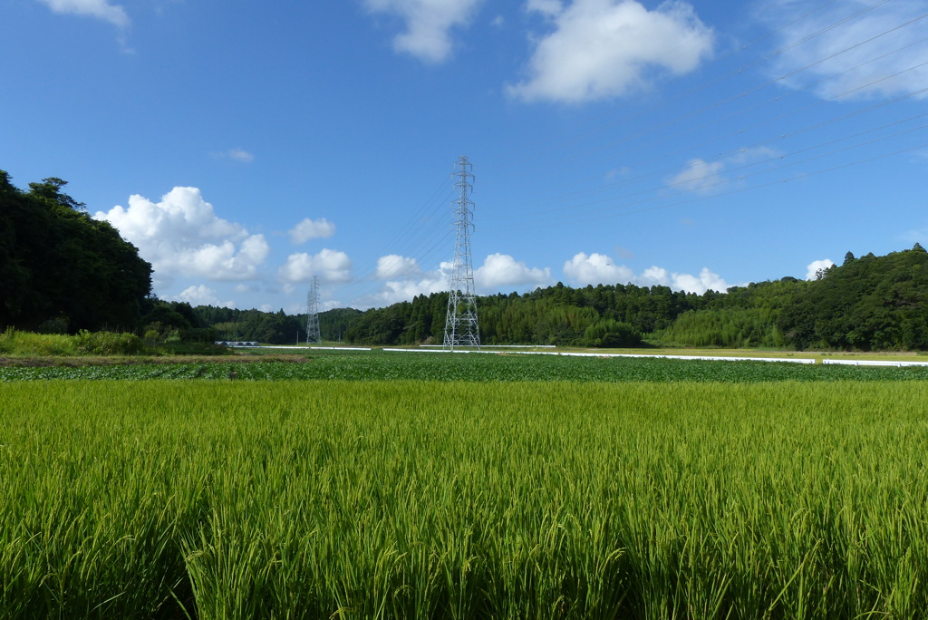 田園風景