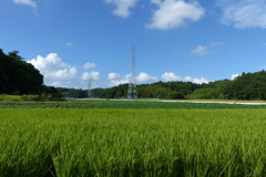 田園風景