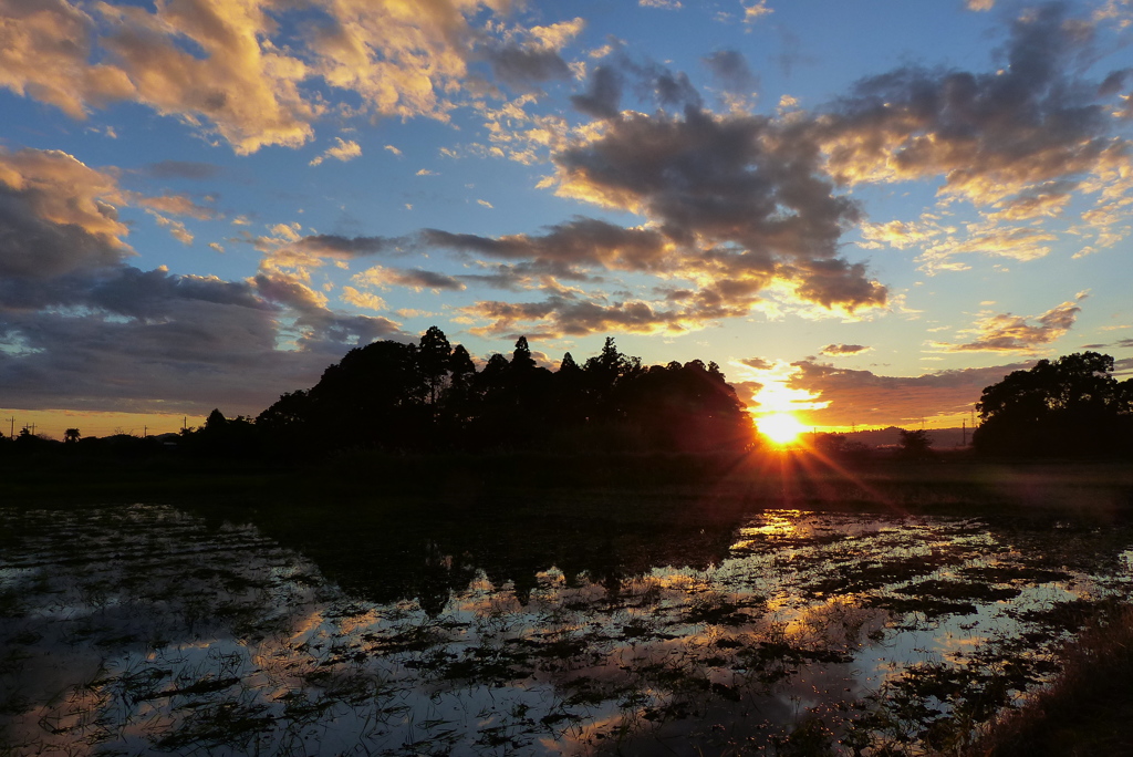 夕焼け