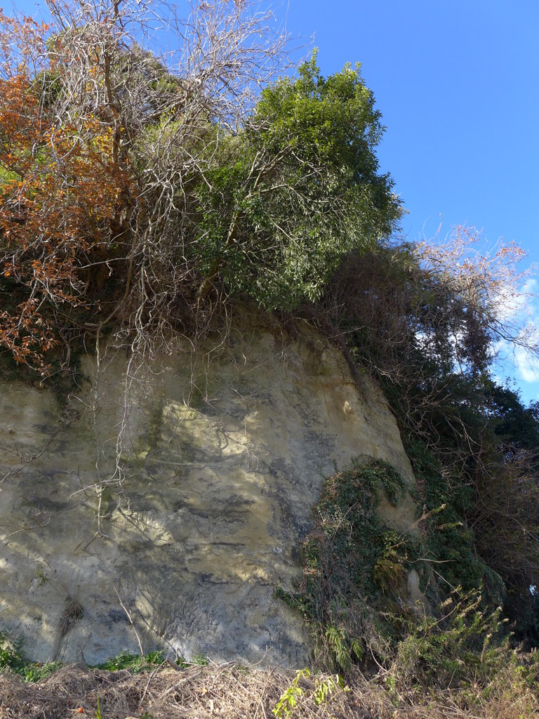 縄文の岬