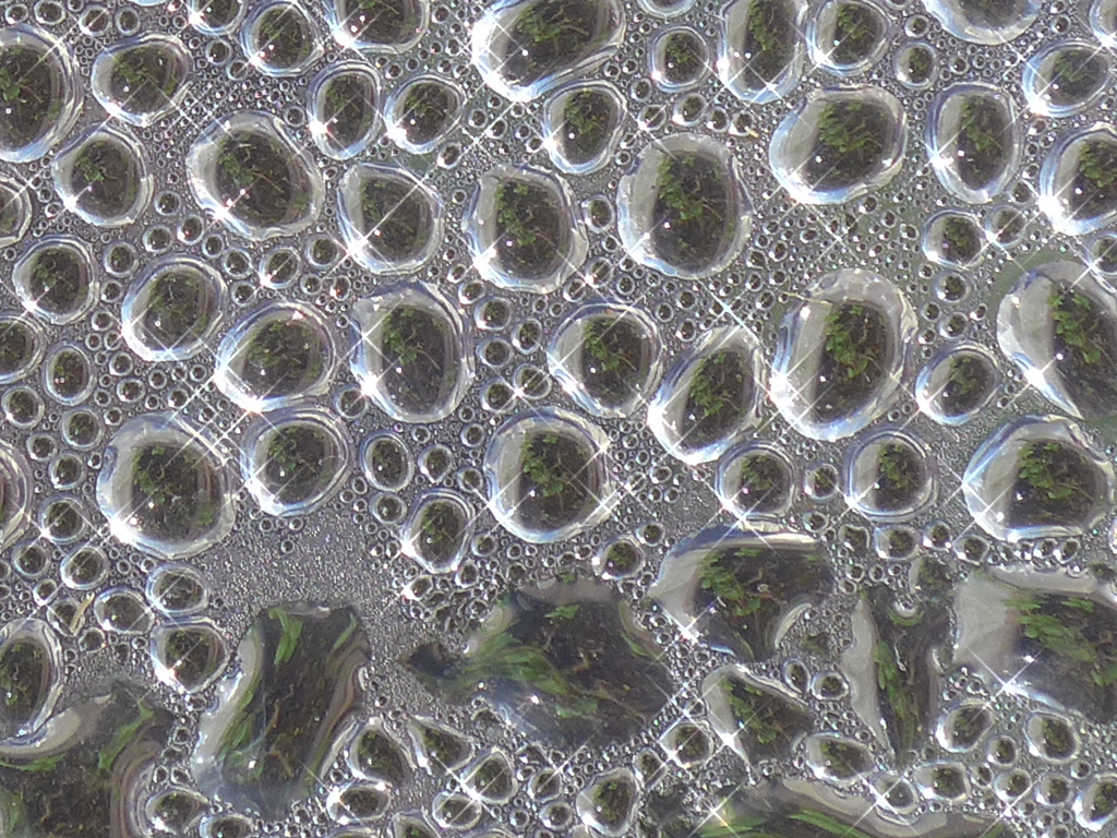 露　５