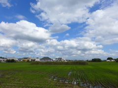 まだ夏雲の延長？