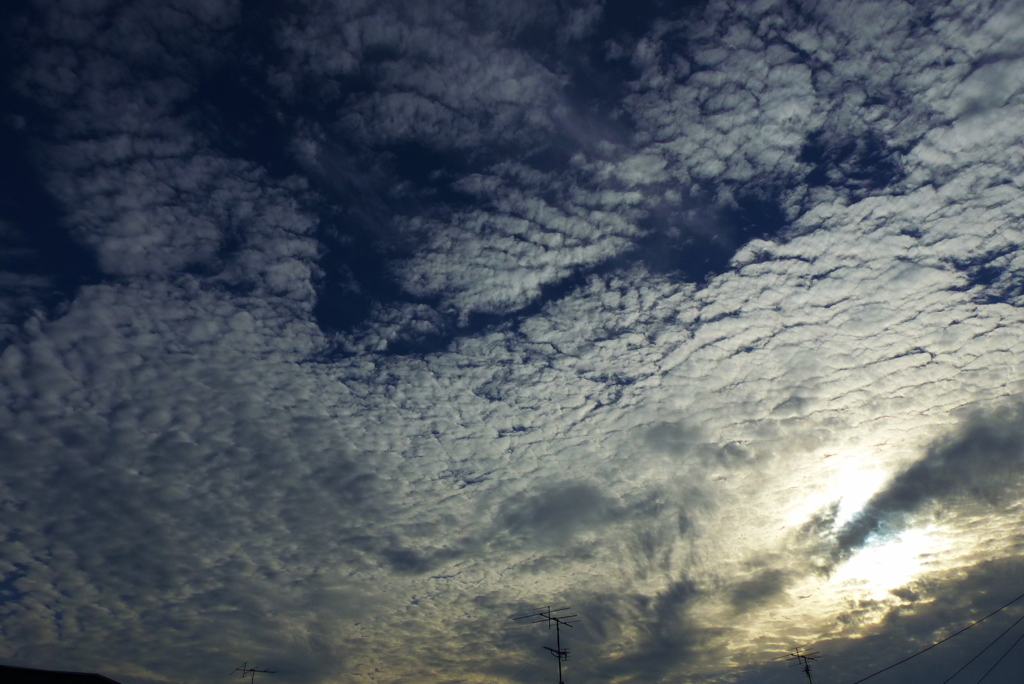 高層雲