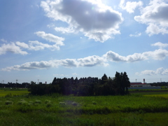 やっと夏雲