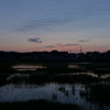 夕景
