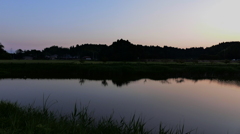 水を湛えた湿地の池