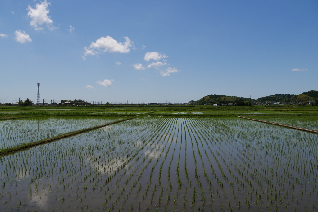 いつもの風景