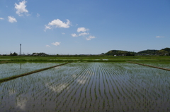 いつもの風景
