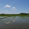 いつもの風景