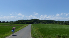 晴天の田園